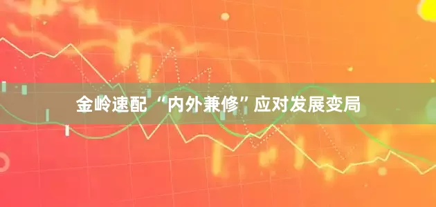 金岭速配 “内外兼修”应对发展变局