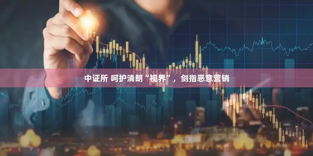 中证所 呵护清朗“视界”，剑指恶意营销
