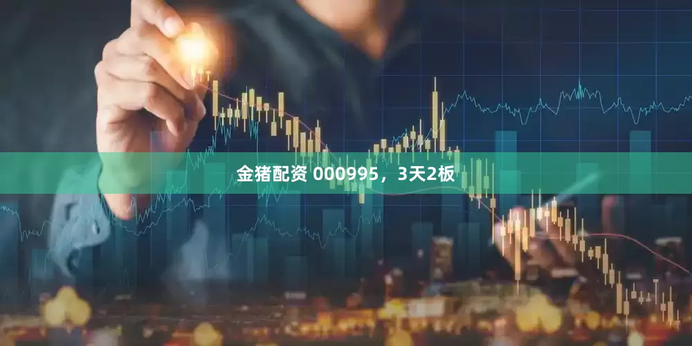 金猪配资 000995，3天2板